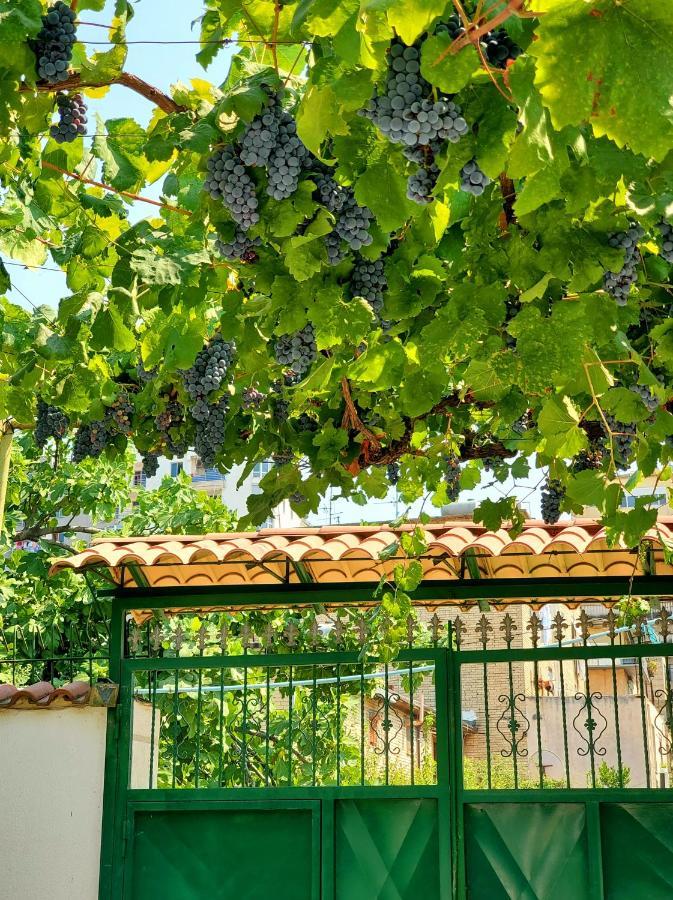 Unique Traditional House, Hosted By J&G Tiranë Luaran gambar