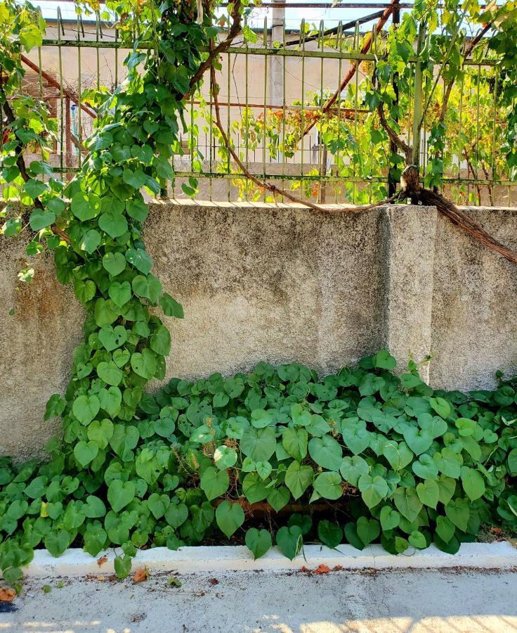 Unique Traditional House, Hosted By J&G Tiranë Luaran gambar