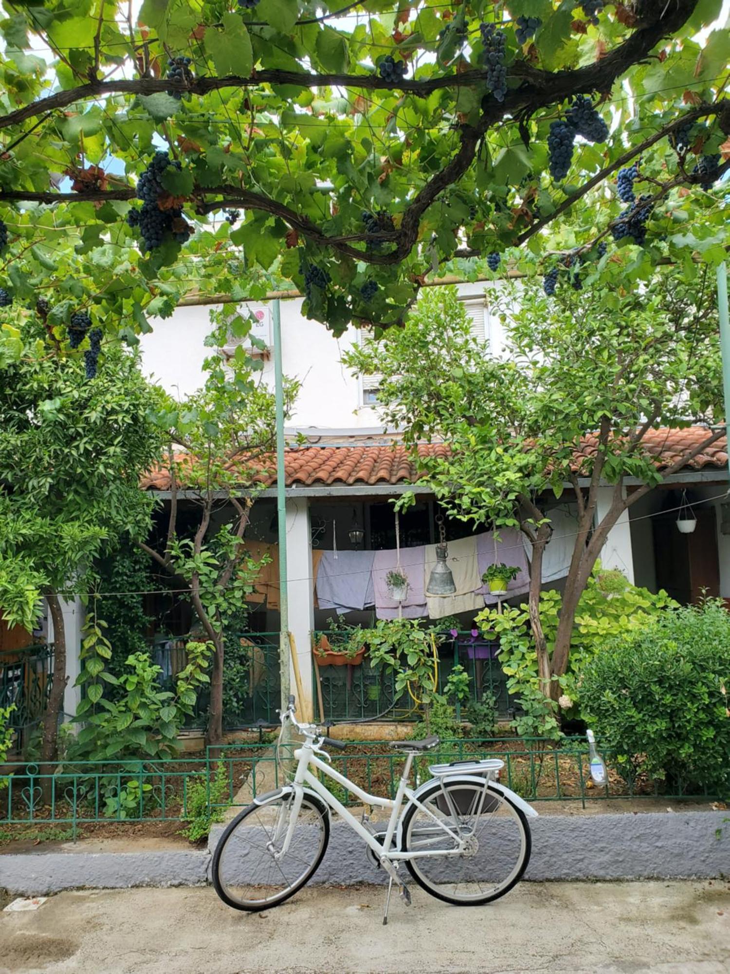 Unique Traditional House, Hosted By J&G Tiranë Luaran gambar