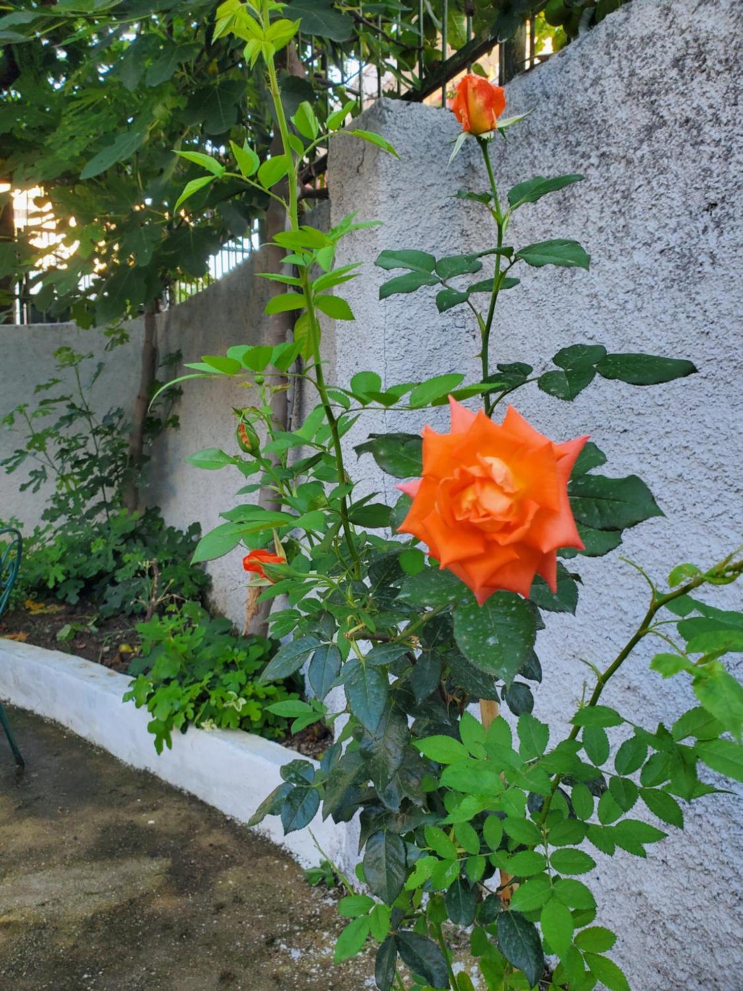 Unique Traditional House, Hosted By J&G Tiranë Luaran gambar